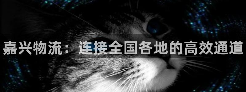 谈球吧属于哪个旗下